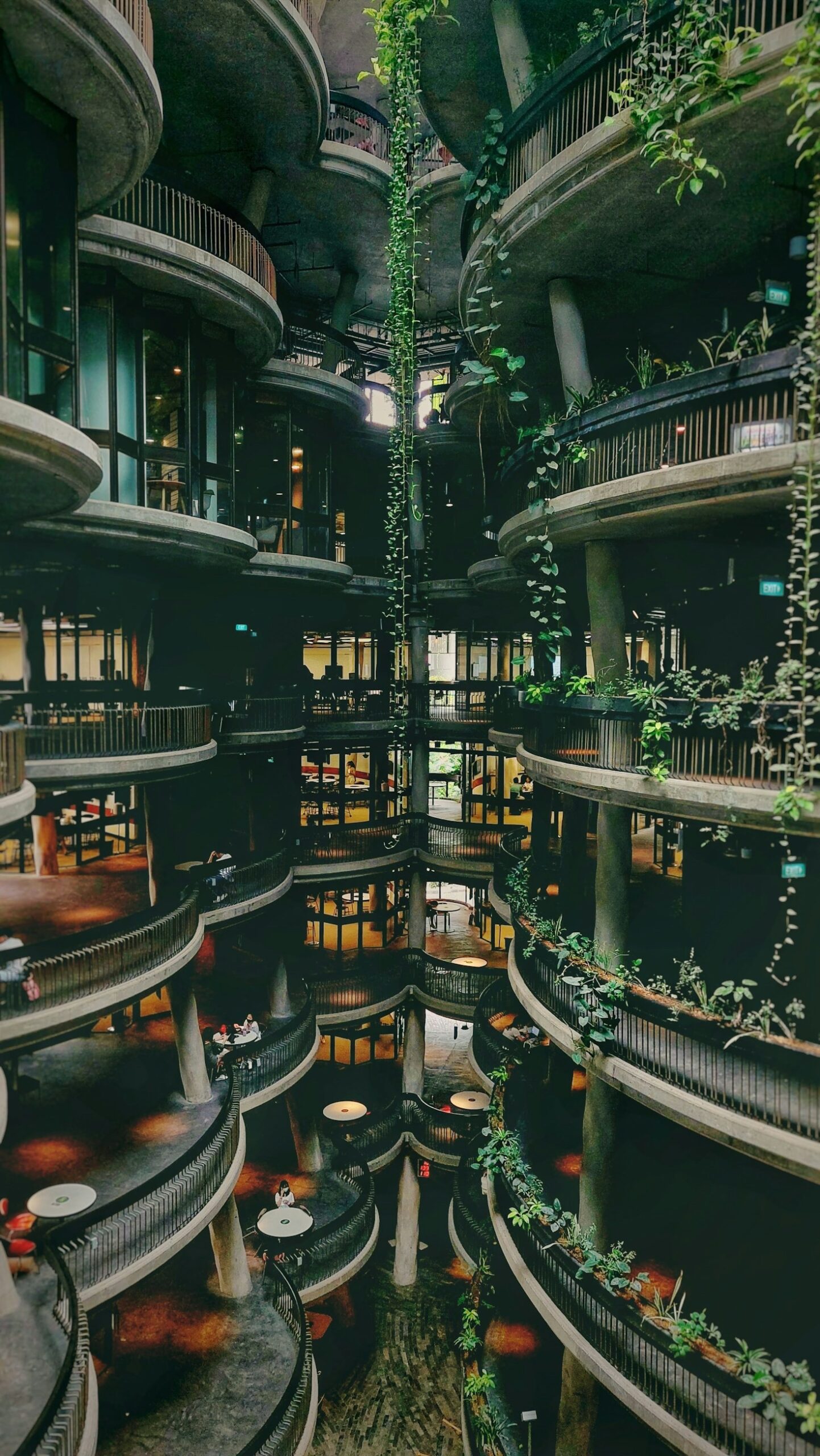 The Power of Regenerative Community Architecture