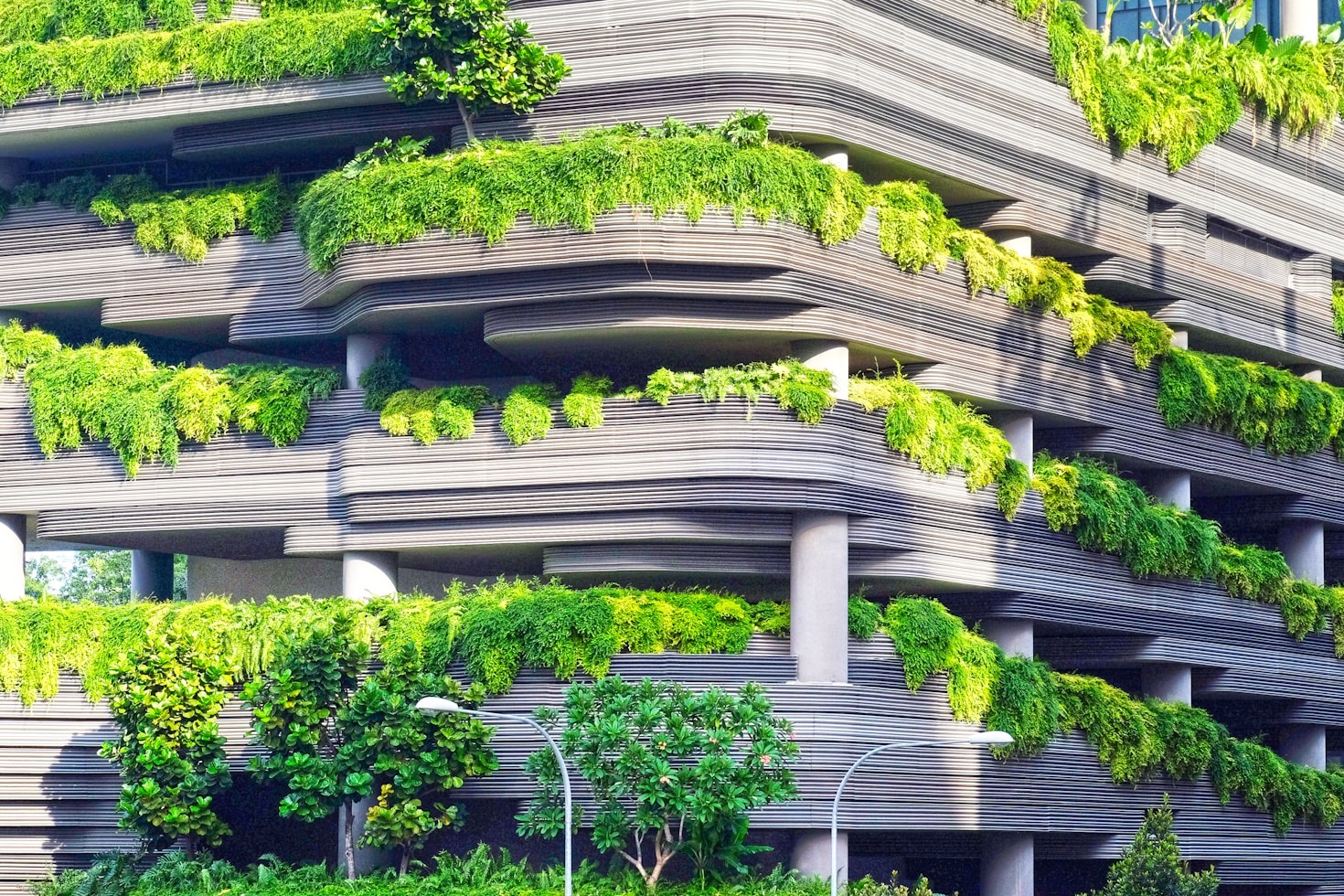 The Role of Architecture in a Sustainable Future